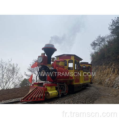 train de piste express sur la mer pour le tourisme